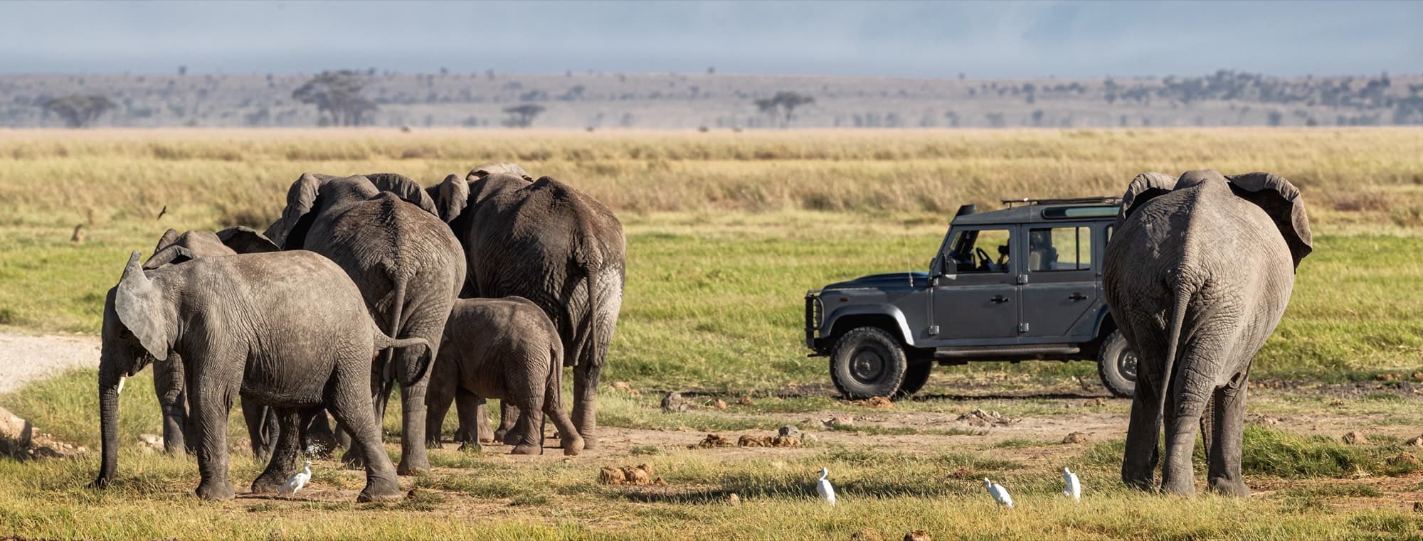 Game drive vehicle on the Amboseli plains